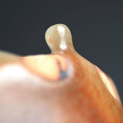 信じられないほどの現代志野茶わん ー酒井 甲夫 "鼡志野茶盌"