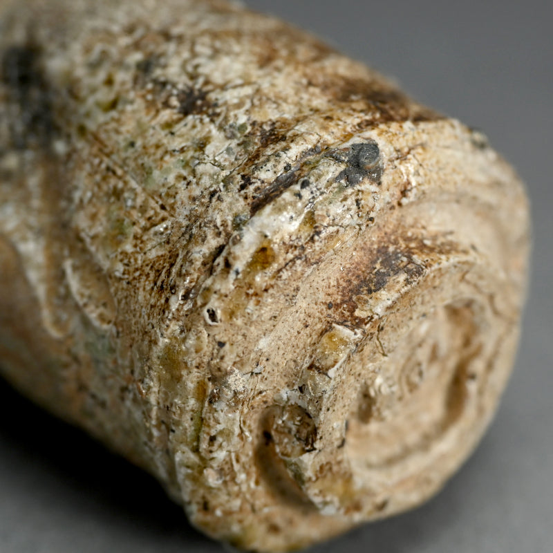 Iga Yunomi ー谷本 貴 “伊賀 湯呑”