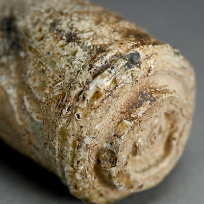 Iga Yunomi ー谷本 貴 “伊賀 湯呑”