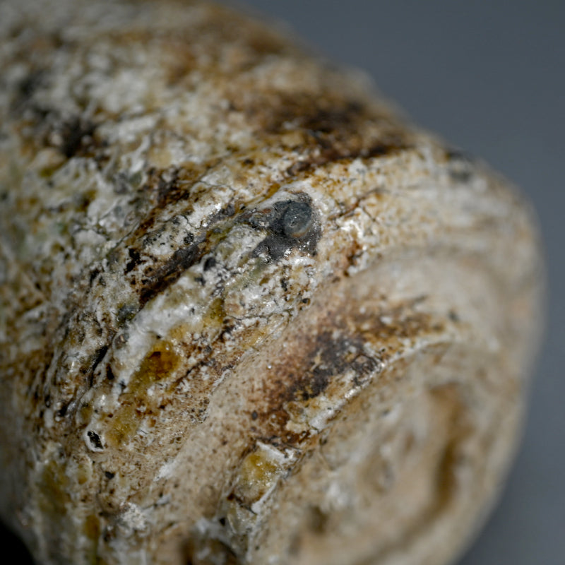 Iga Yunomi ー谷本 貴 “伊賀 湯呑”