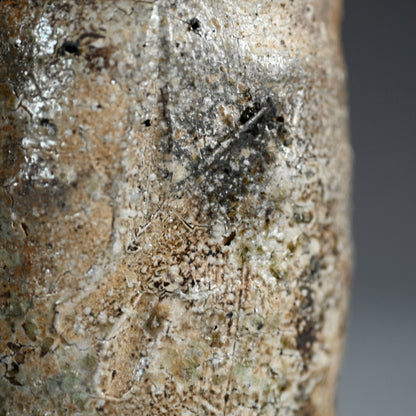 Iga Yunomi ー谷本 貴 “伊賀 湯呑”