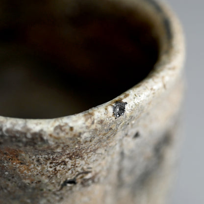 Iga Yunomi ー谷本 貴 “伊賀 湯呑”