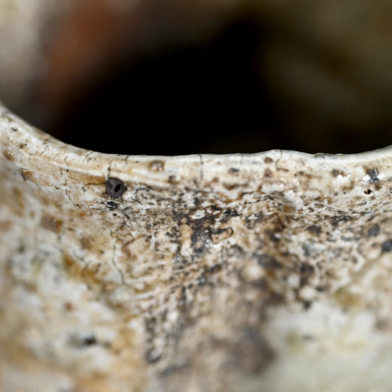 Iga Yunomi ー谷本 貴 “伊賀 湯呑”