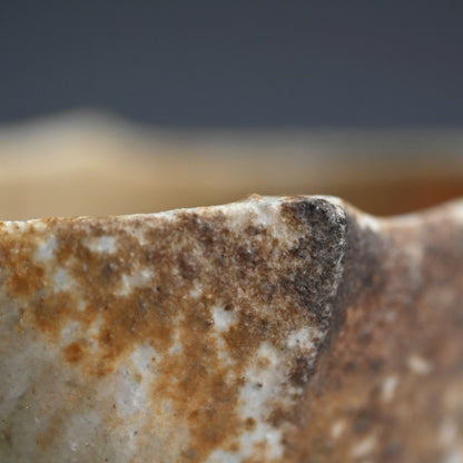 Iga Guinomi ー谷本 洋 “伊賀 ぐい吞み「風の音」”