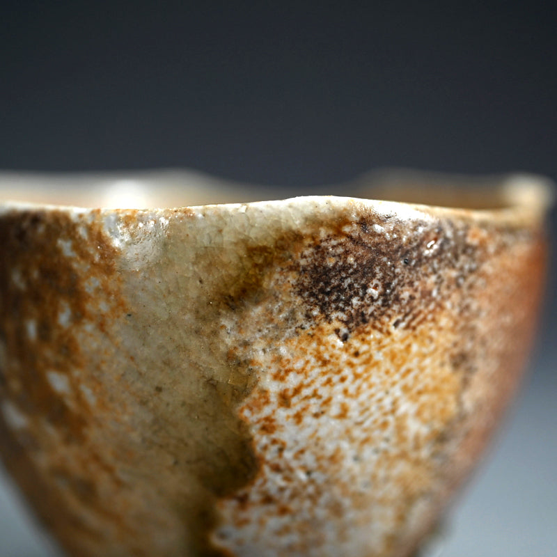 Iga Guinomi ー谷本 洋 “伊賀 ぐい吞み「風の音」”