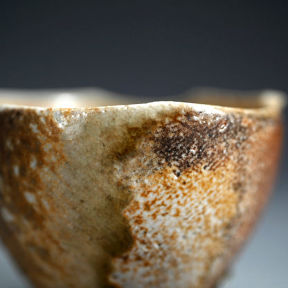 Iga Guinomi ー谷本 洋 “伊賀 ぐい吞み「風の音」”