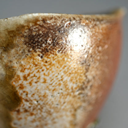 Iga Guinomi ー谷本 洋 “伊賀 ぐい吞み「風の音」”