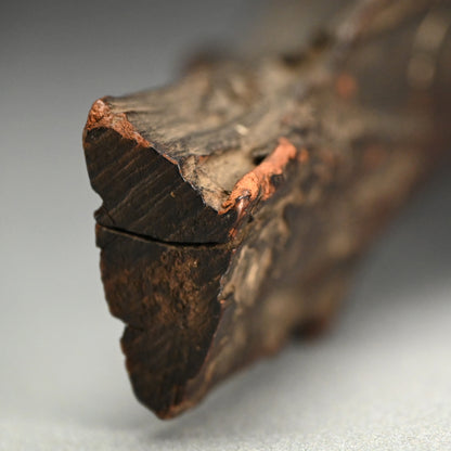 Unusual Natural Wood Hanging Fish-shaped Door Knock