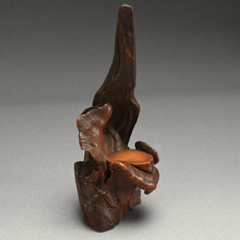 Root-Wood Stand