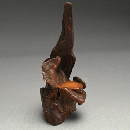 Root-Wood Stand