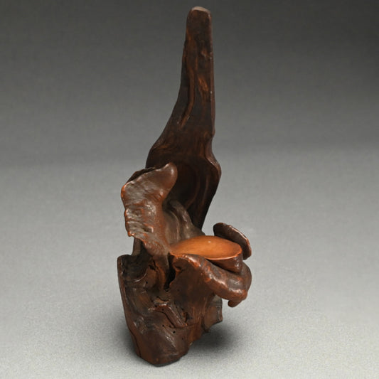 Root-Wood Stand