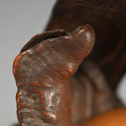 Root-Wood Stand