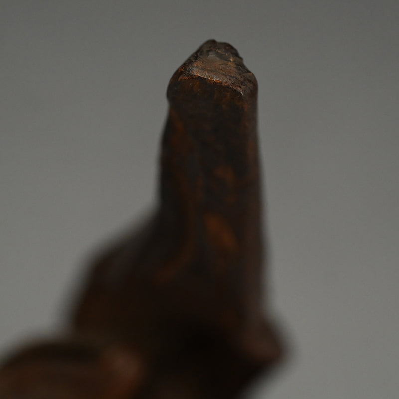 Root-Wood Stand