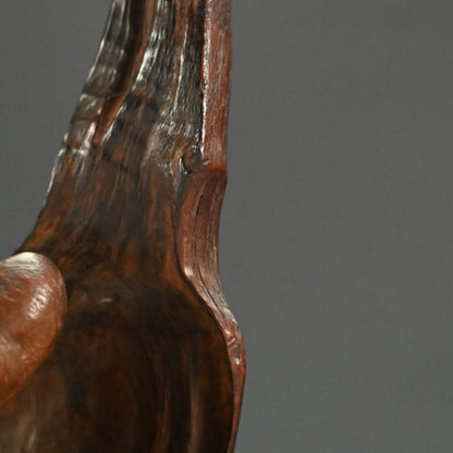 Root-Wood Stand