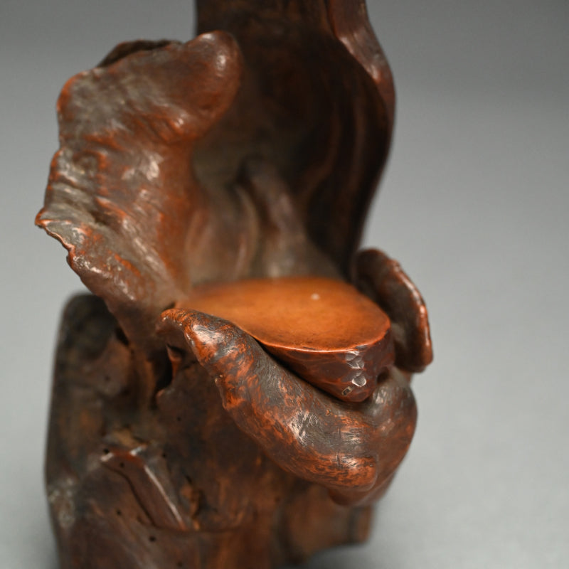 Root-Wood Stand