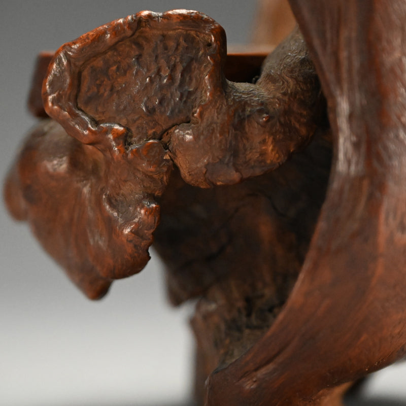 Root-Wood Stand