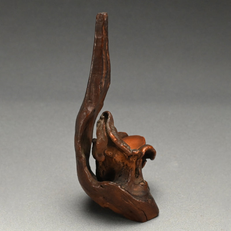 Root-Wood Stand