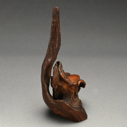 Root-Wood Stand