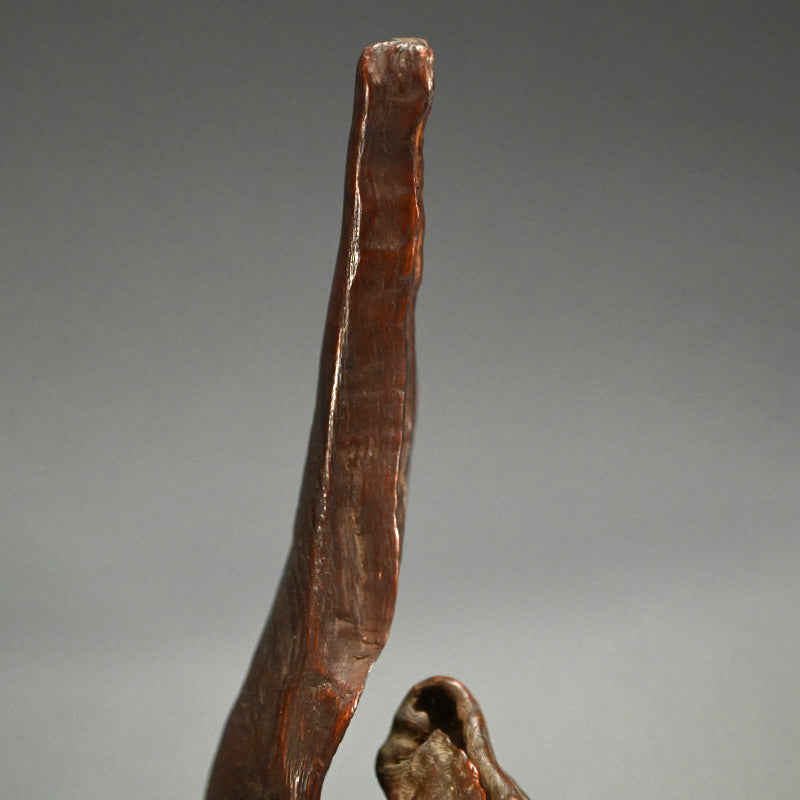 Root-Wood Stand