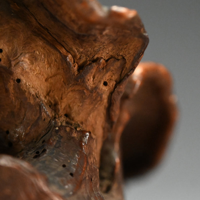 Root-Wood Stand