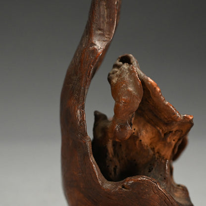 Root-Wood Stand