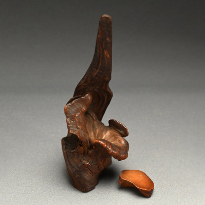 Root-Wood Stand