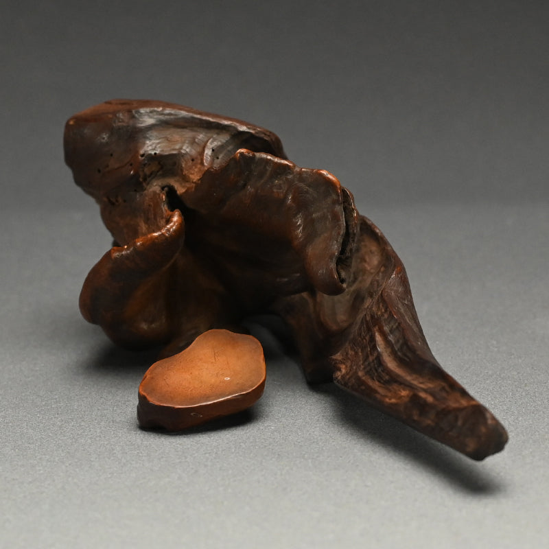 Root-Wood Stand
