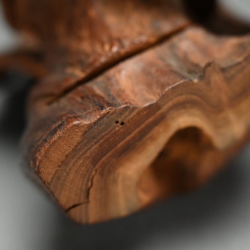 Root-Wood Stand