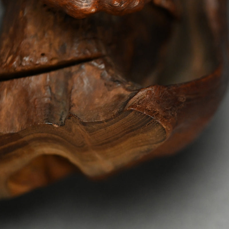 Root-Wood Stand