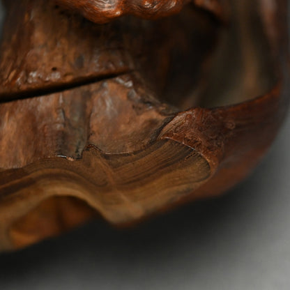 Root-Wood Stand