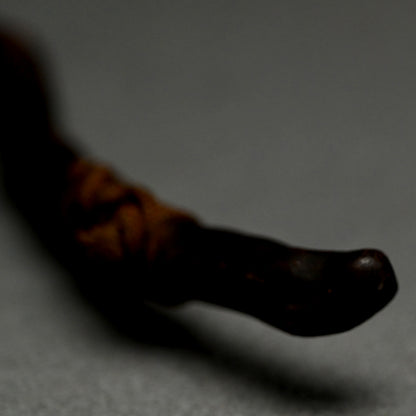 Antique Japanese Scholar Art Root-Wood Nyoi