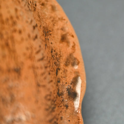 Unusual Gennai Yaki Basin, Waves and Basho Leaves