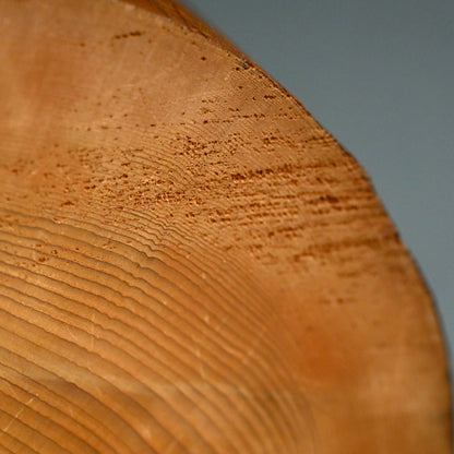 Serenity in Wood, a Carved Rabbit Okimono