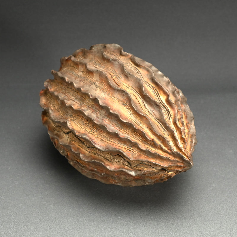 Seed Pod Ceramic Object