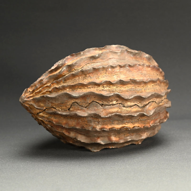 Seed Pod Ceramic Object