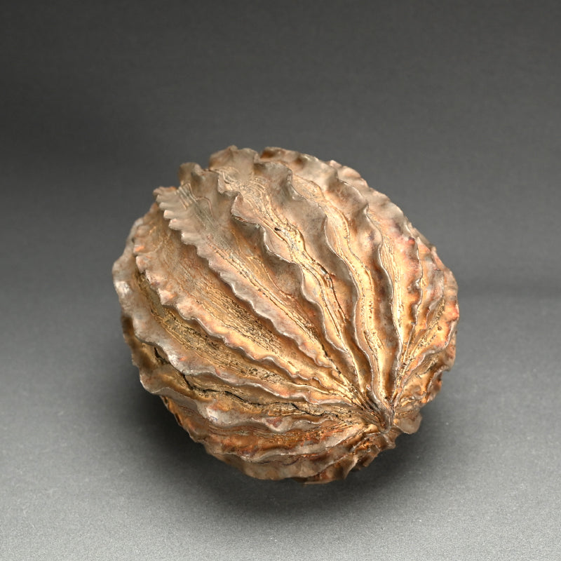 Seed Pod Ceramic Object