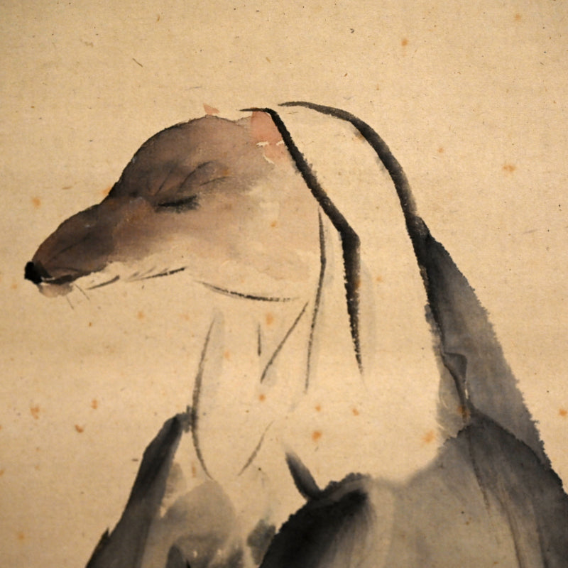 Hakuzosu Fox in Priest Robes ー大田垣 蓮月 "白蔵主"