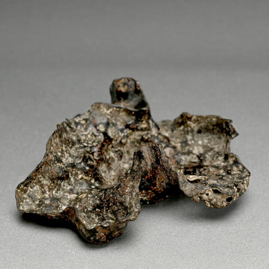 Spectacular Natural Bowl of Umimatsu Black Coral