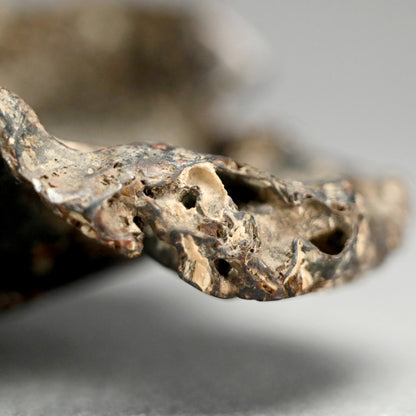 Spectacular Natural Bowl of Umimatsu Black Coral