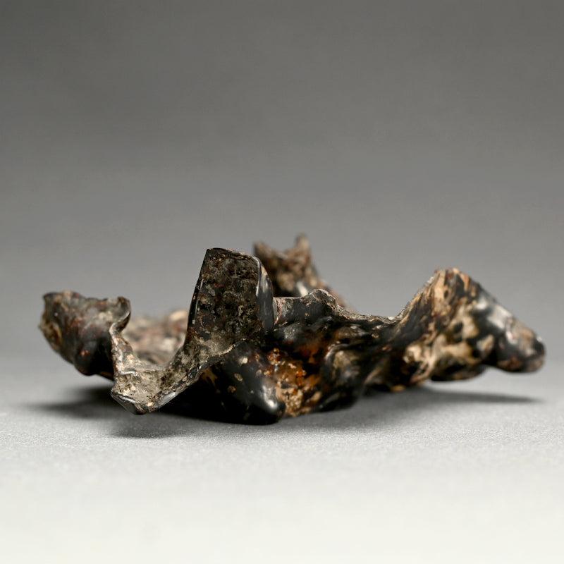 Spectacular Natural Bowl of Umimatsu Black Coral
