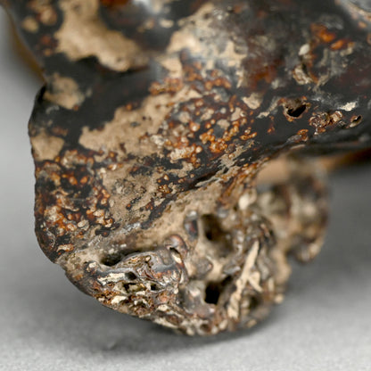 Spectacular Natural Bowl of Umimatsu Black Coral