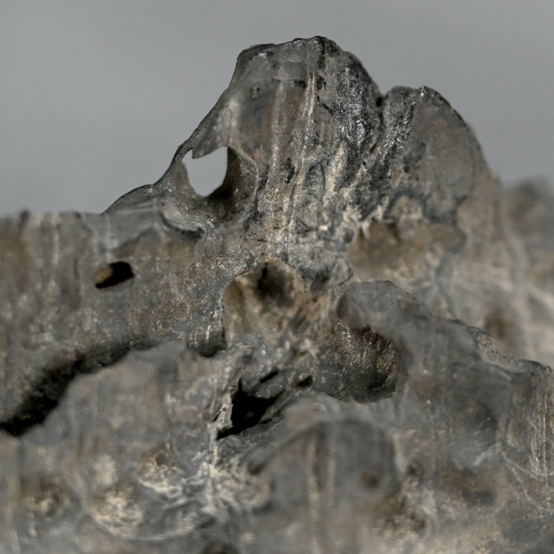 Suiseki Spirit Stone Mountain Range