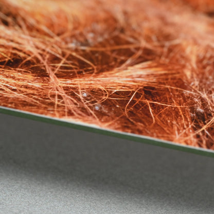 “Borneo Orangutan 1” Numbered Photograph ー堀谷 昇市