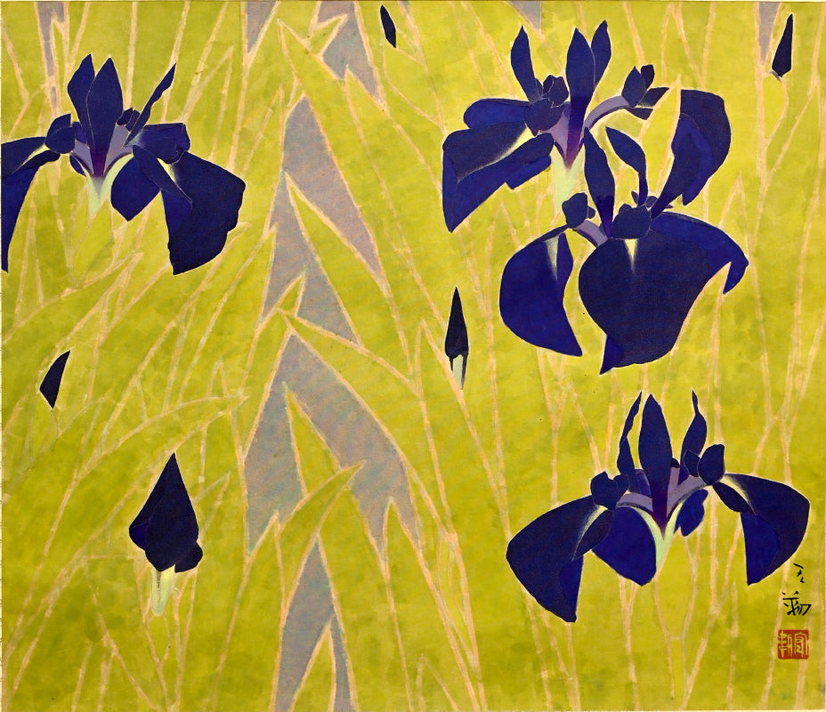 Mid Century Scroll, Iris ー沢 宏靱 “花菖蒲”