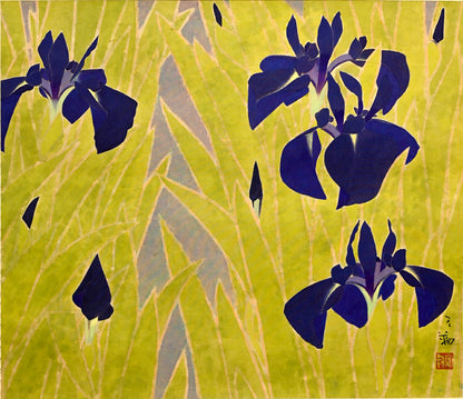 Mid Century Scroll, Iris ー沢 宏靱 “花菖蒲”