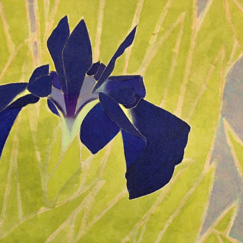 Mid Century Scroll, Iris ー沢 宏靱 “花菖蒲”