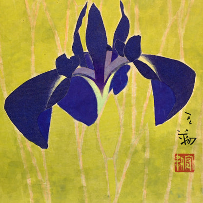 Mid Century Scroll, Iris ー沢 宏靱 “花菖蒲”