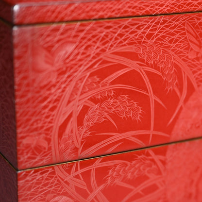 Exquisite Meiji p. Engraved Cinnabar Lacquer Box Set ー輪島塗 堆朱五ツ組重箱 白幡