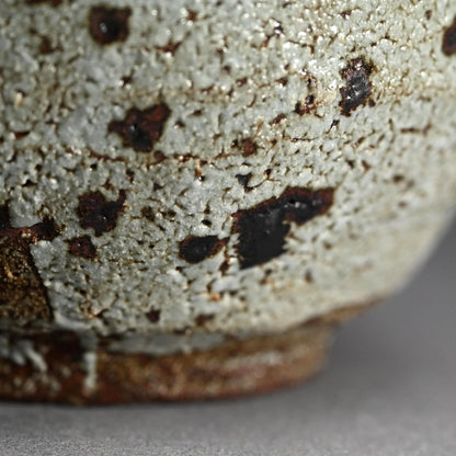 Kairagi Vase ー木村 盛伸 “梅華皮鉄彩 壷”