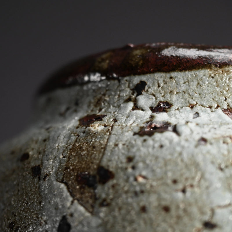 Kairagi Vase ー木村 盛伸 “梅華皮鉄彩 壷”